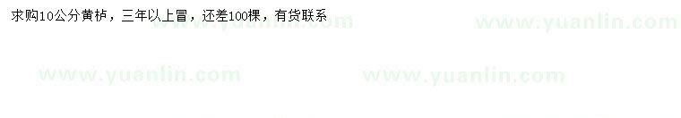 求購(gòu)10公分黃櫨