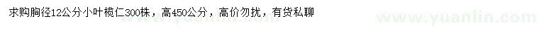 求購胸徑12公分小葉欖仁