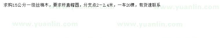 求購15公分絲棉木