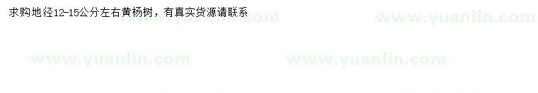 求購(gòu)地徑12-15公分左右黃楊