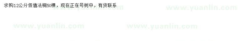 求購12公分法桐