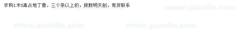 求購高1.5米丁香