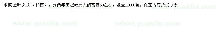 求購高50公分左右金葉女貞