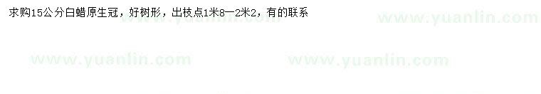 求購(gòu)15公分白蠟