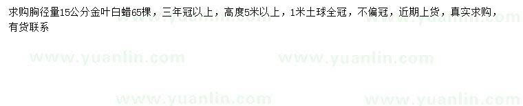 求購胸徑15公分金葉白蠟