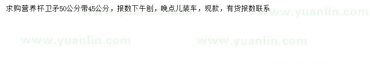 求購(gòu)45、50公分衛(wèi)矛