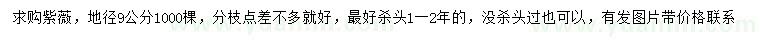 求購地徑9公分紫薇