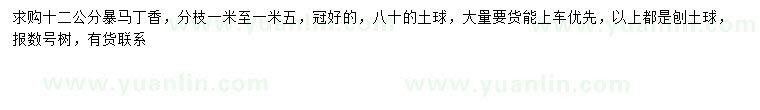 求購(gòu)12公分暴馬丁香