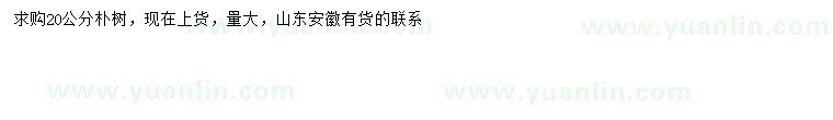 求購(gòu)20公分樸樹(shù)