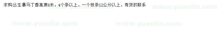 求購高6米叢生暴馬丁香