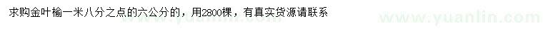 求購6公分金葉榆
