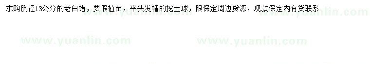 求購(gòu)胸徑13公分老白蠟