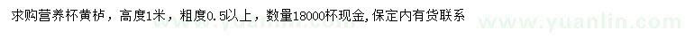 求購(gòu)高1米黃櫨