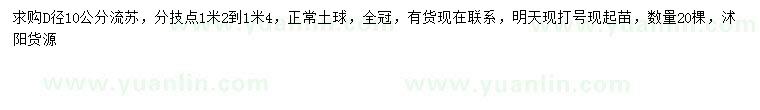 求購地徑10公分流蘇
