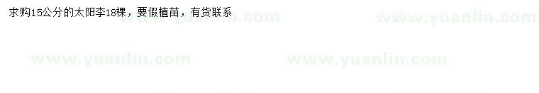 求購(gòu)15公分太陽(yáng)李
