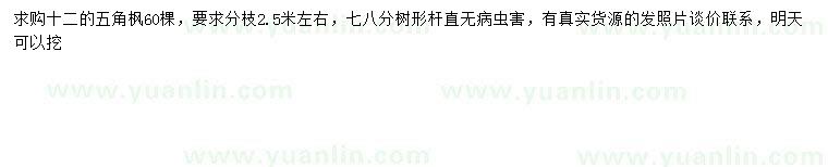 求購12公分五角楓