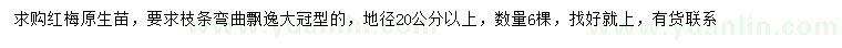 求購(gòu)地徑20公分以上紅梅