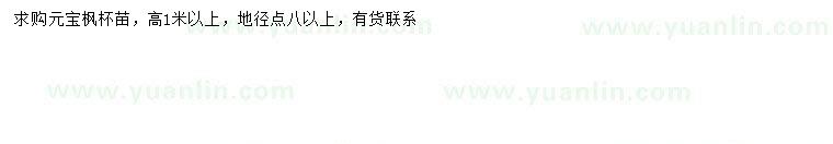 求購高1米以上元寶楓