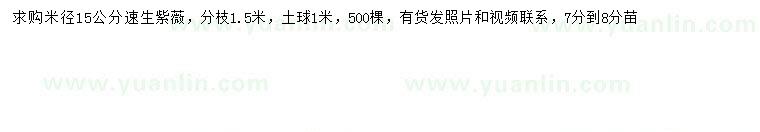 求購米徑15公分速生紫薇