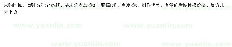求購20-25公分國槐