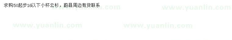 求購50公分以上云杉