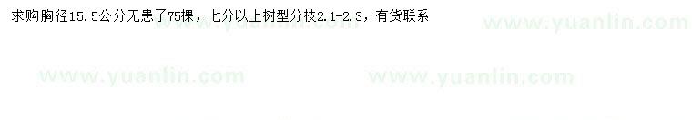 求購胸徑15.5公分無患子