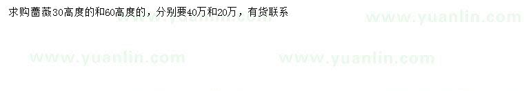 求購高30、60公分薔薇