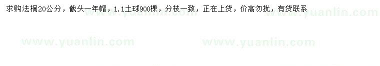 求購20公分法桐