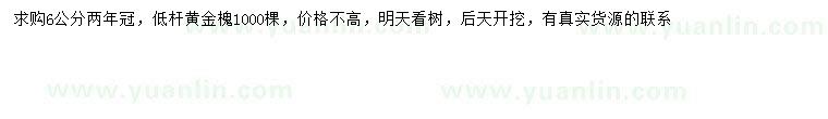 求購(gòu)6公分黃金槐