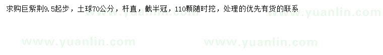 求購(gòu)9.5公分以上巨紫荊