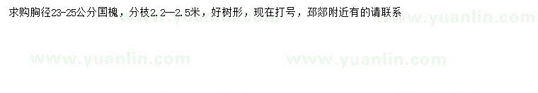 求購胸徑23-25公分國槐