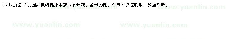 求購11公分美國紅楓