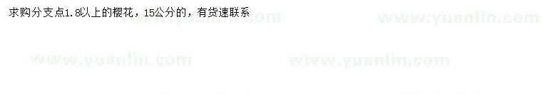 求購15公分櫻花