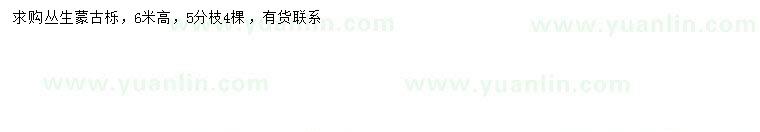 求購(gòu)高6米叢生蒙古櫟