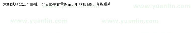 求購地徑12公分碧桃