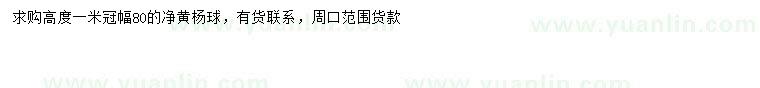 求購冠幅80公分黃楊球