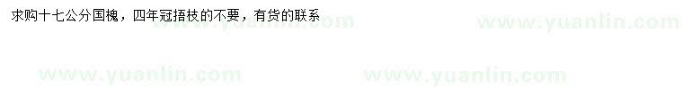 求購(gòu)17公分國(guó)槐