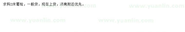求購3米蜀檜