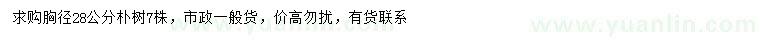 求購胸徑28公分樸樹
