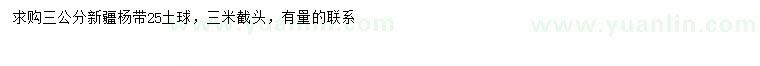 求購3公分新疆楊