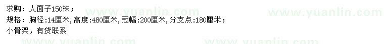 求購胸徑14公分人面子