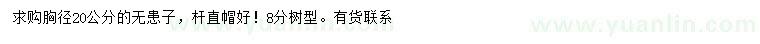 求購胸徑20公分無患子
