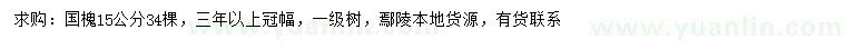 求購15公分國槐