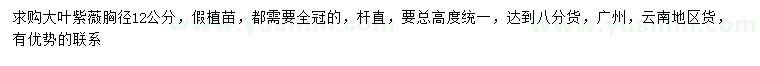 求購胸徑12公分大葉紫薇