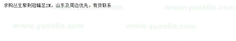 求購冠幅2米叢生紫荊