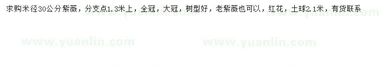 求購米徑30公分紫薇