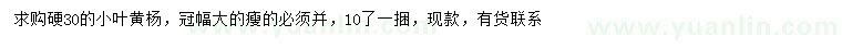 求購30公分小葉黃楊