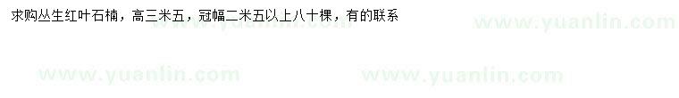 求購(gòu)冠幅2.5米以上叢生紅葉石楠