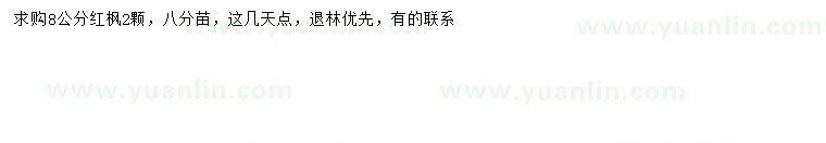 求購(gòu)8公分紅楓
