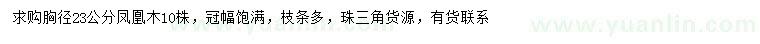 求購胸徑23公分?zhù)P凰木